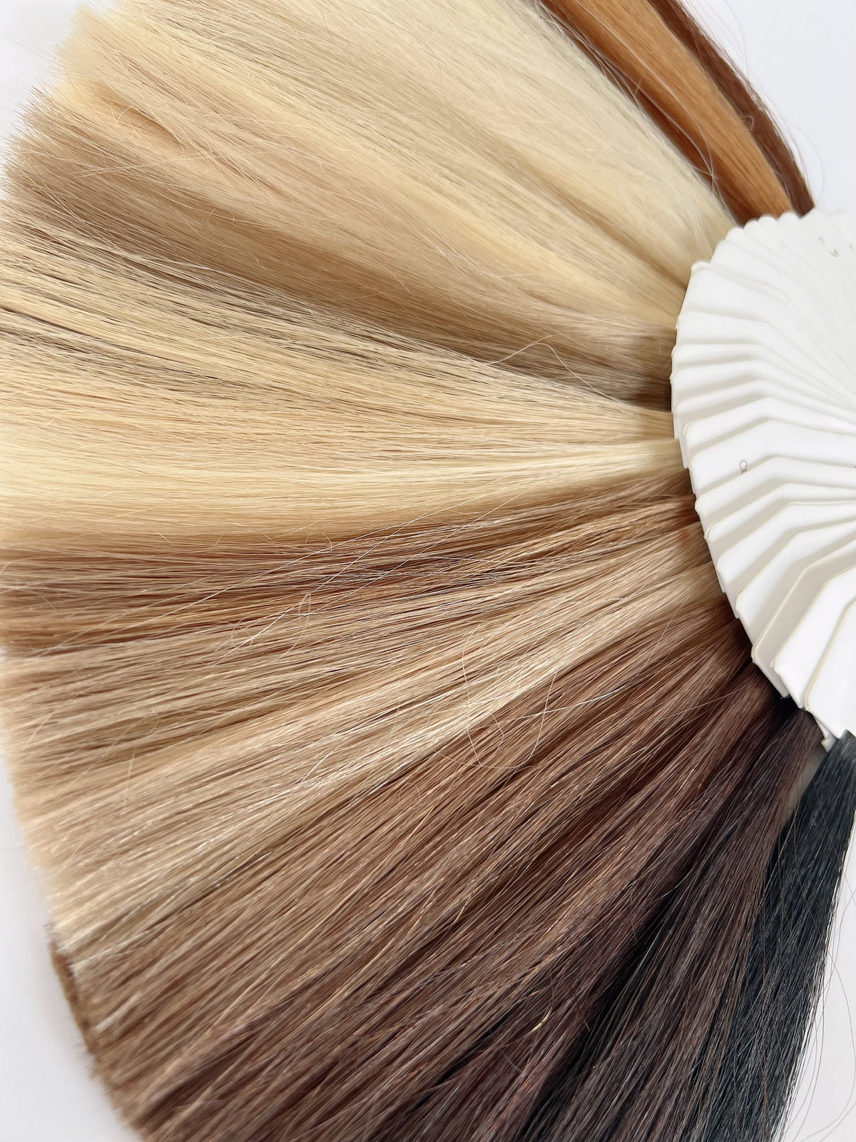 Farbring für Tape 2,8cm & Bonding Extensions